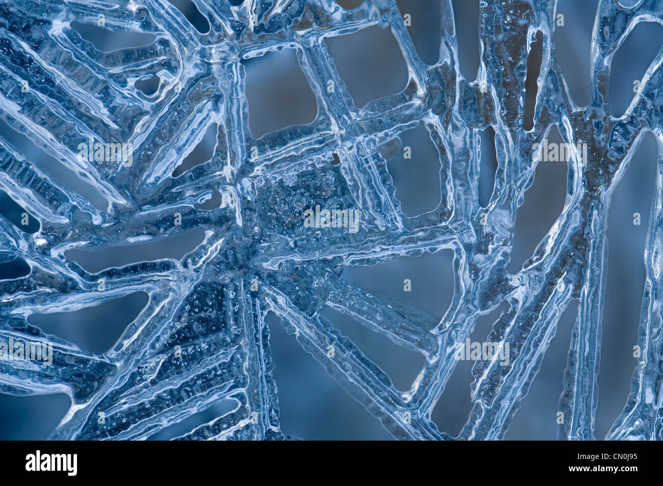 Abstract ice pattern. Stock Photo