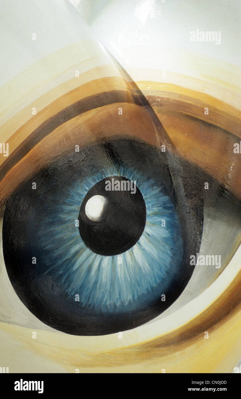 Eye human close up art hi-res stock photography and images - Alamy