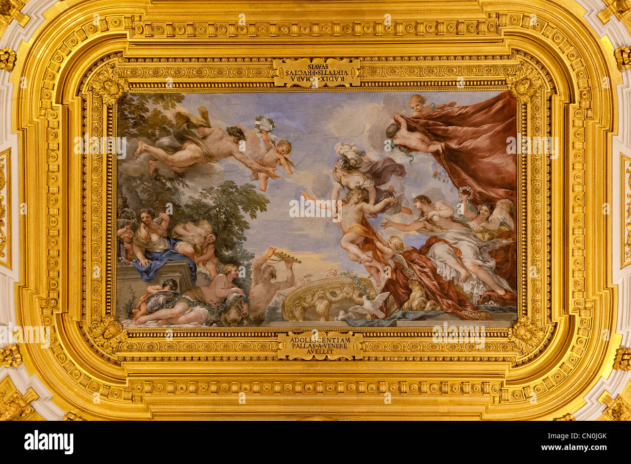 Palazzo pitti fresco hi-res stock photography and images - Alamy