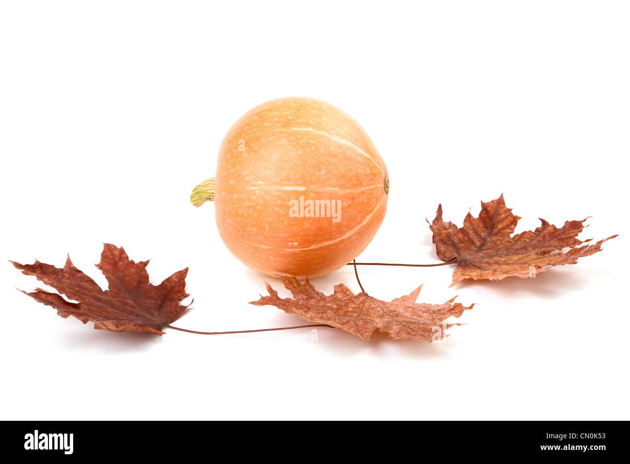 Pumpkin and dry leaves isolated on a white background Stock Photo - Alamy