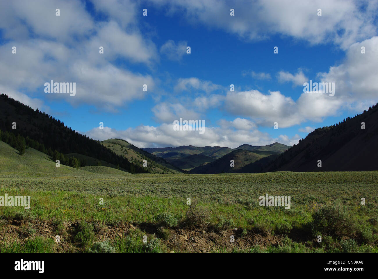 High mountain valley, Salmon Challis National Forest, Idaho Stock Photo