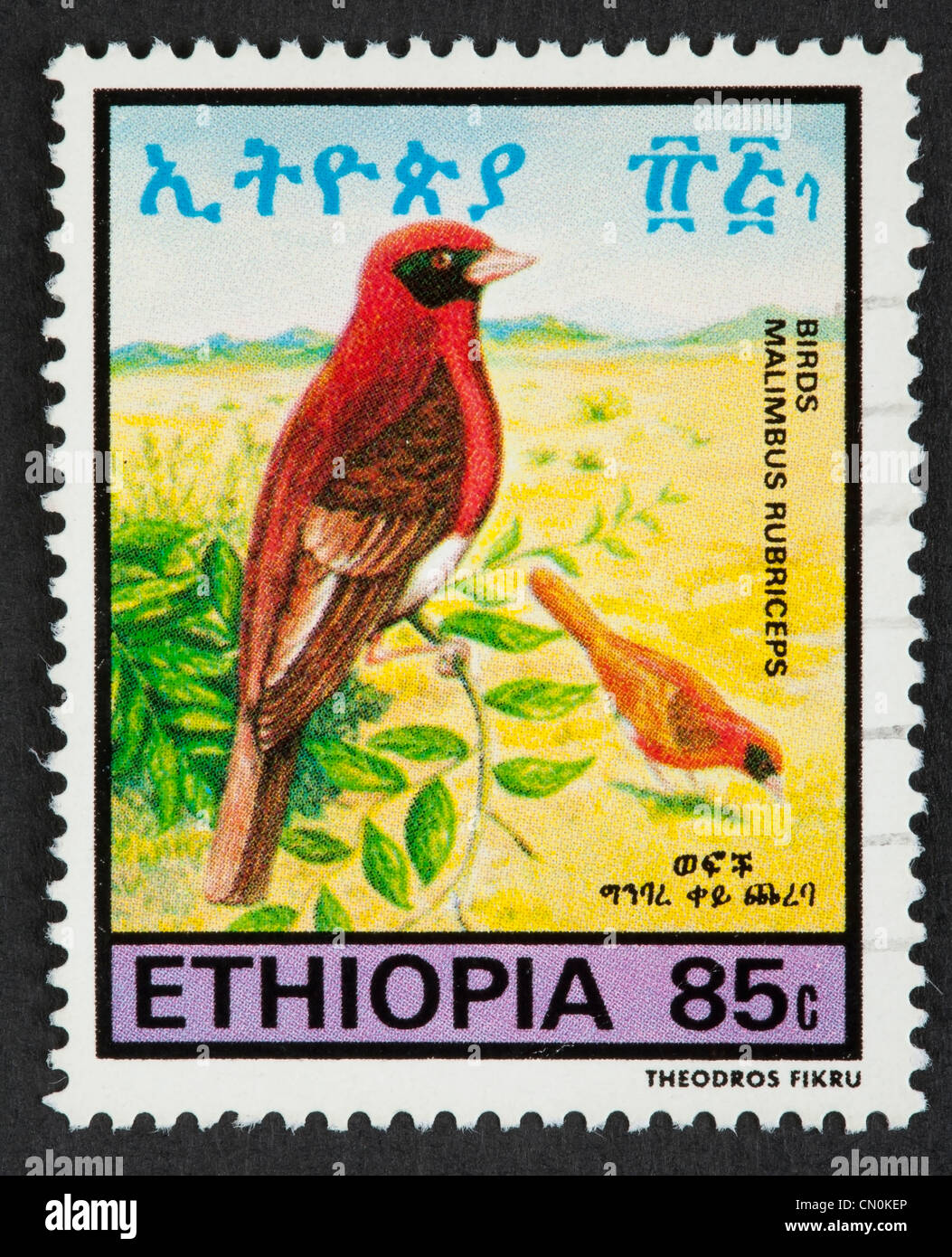 Ethiopia Ethiopia Stamp Postage Stamps Images