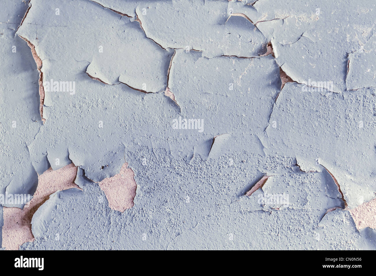 Oil Paint peeling off the wall Stock Photo Alamy