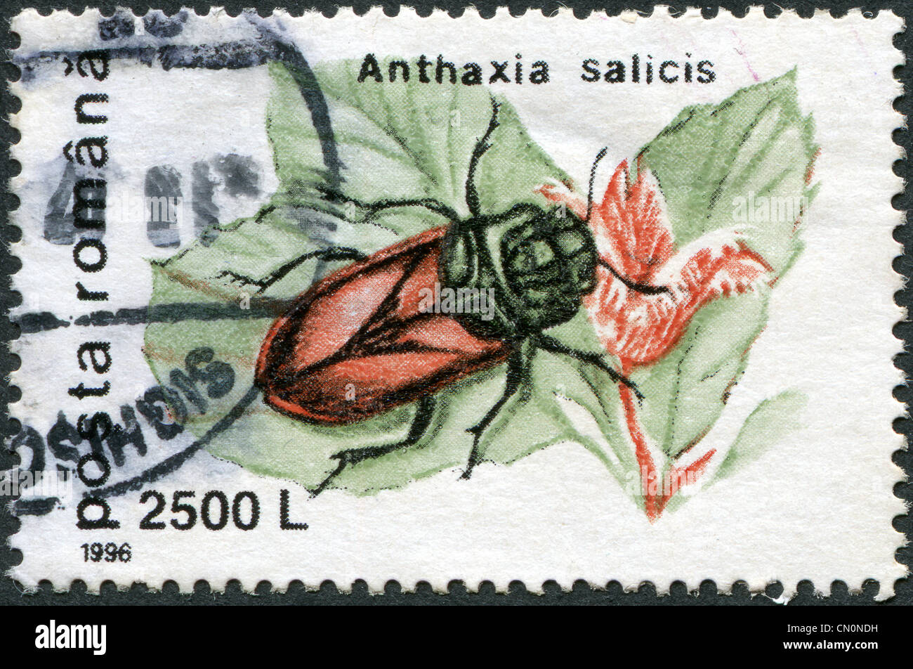 ROMANIA - CIRCA 1996: A stamp printed in Romania, shows a beetle Anthaxia salicis, circa 1996 Stock Photo