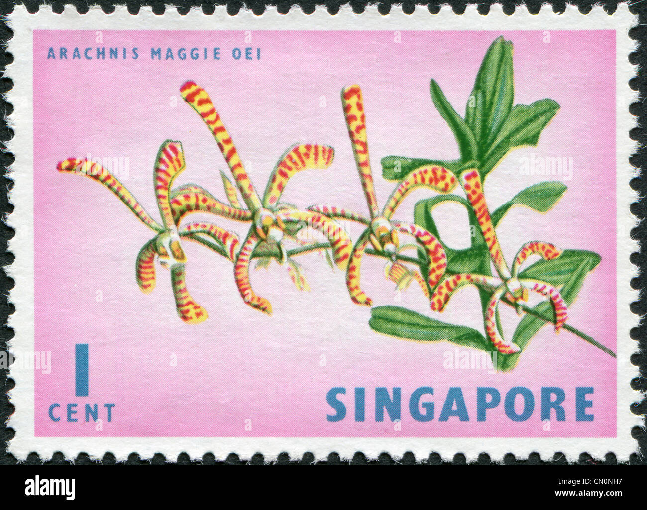 SINGAPORE - CIRCA 1963: A stamp printed in Singapore, shows Arachnis Maggie Oei, circa 1963 Stock Photo