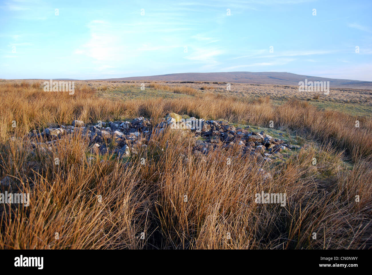 cairn or cromlech Brecon Beacons number 3085 Stock Photo