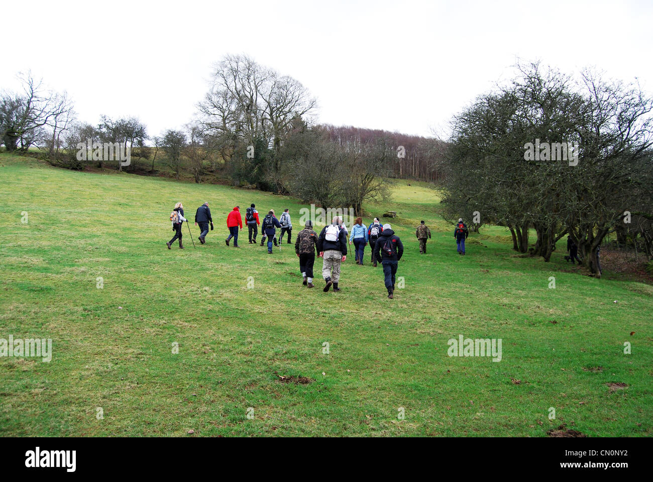 walking group spreads out number 3093 Stock Photo