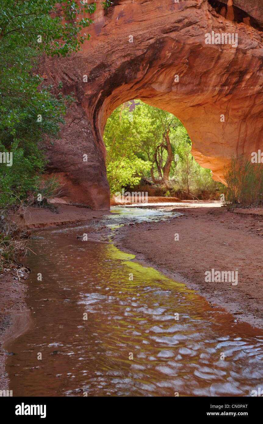 Coyote Natural Bridge in Coyote Gulch, a tributary of the Escalante