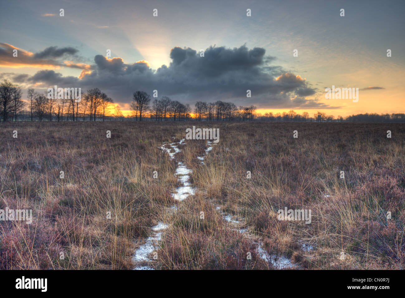 Crossing of twee small footpaths through a barren, swampy moor at sunrise. Stock Photo