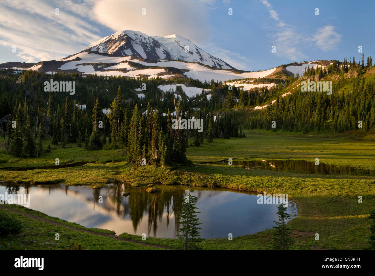 Meadows below Mount Adams in the Mt. Adams Wilderness. Washington Stock