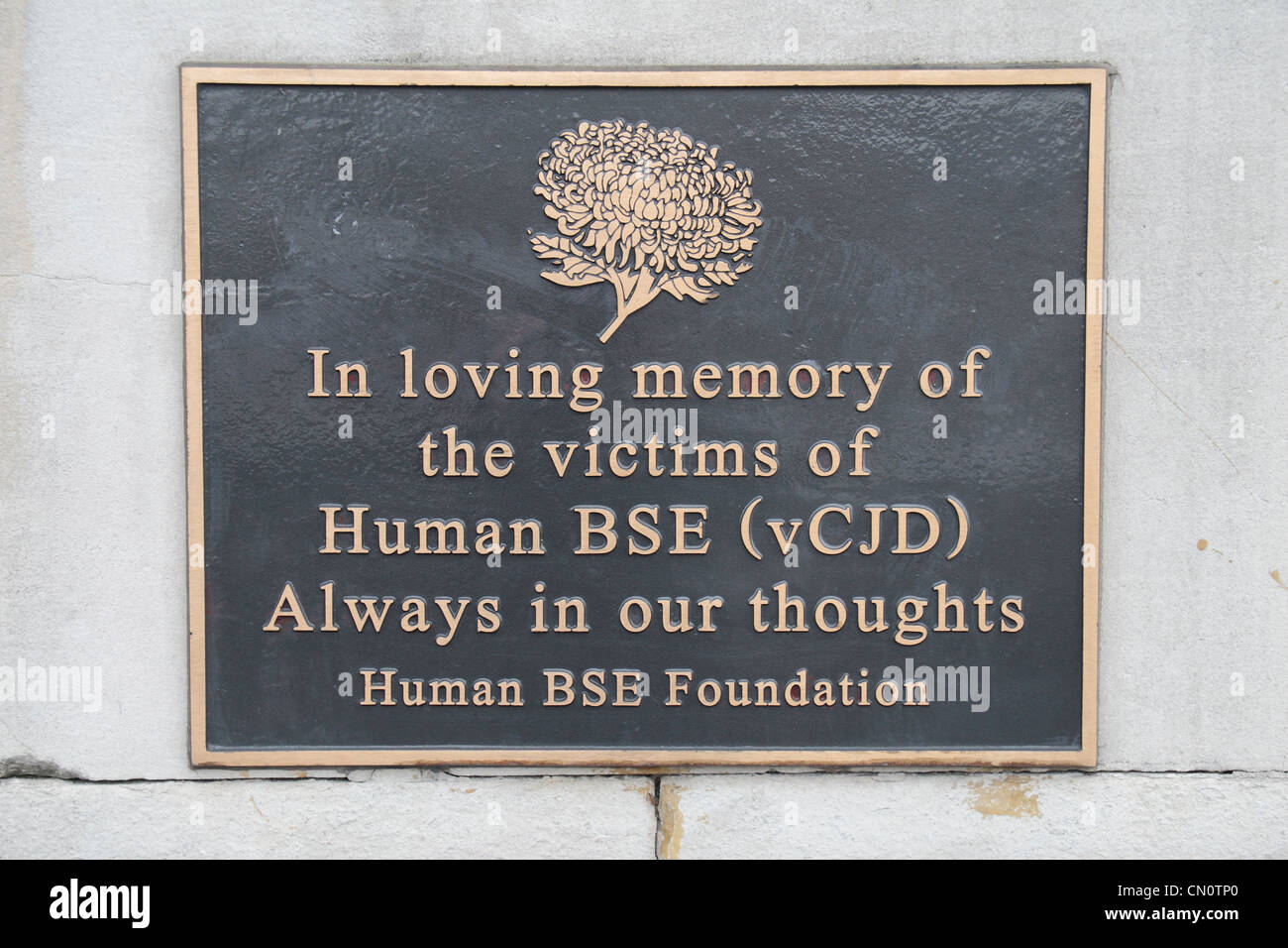 Memorial plaque in memory of 'the victims of Human BSE (vCJD)' beside the River Thames, London, UK. Stock Photo