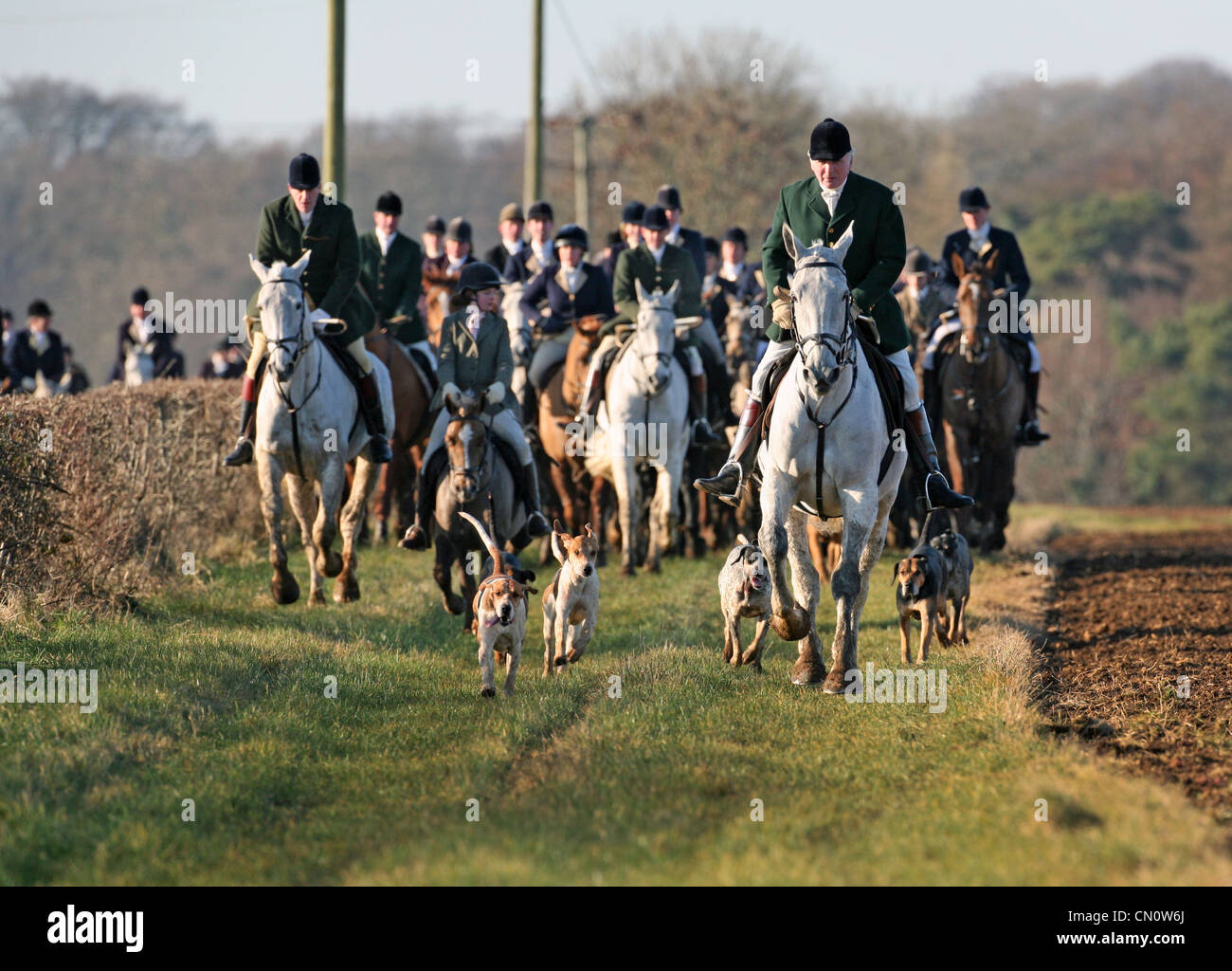 Members of the Beaufort Hunt out hunting on Boxing Day Stock Photo