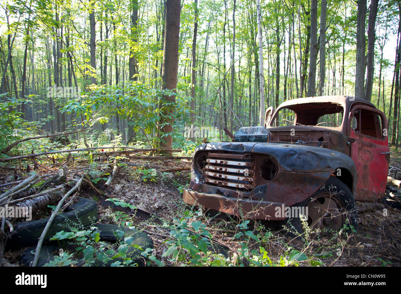 An old abandoned truck left to rust in a forest Stock Photo - Alamy