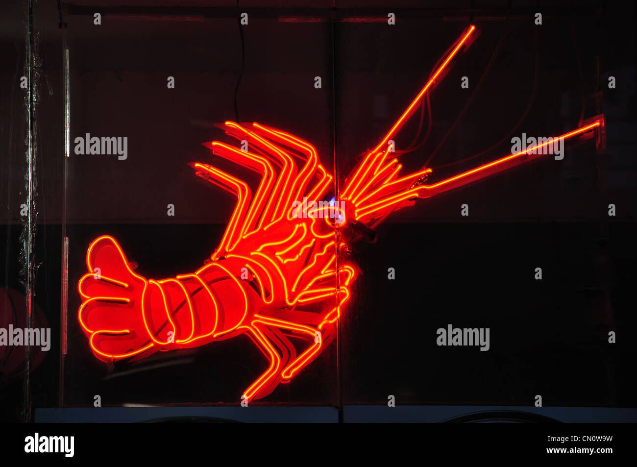 Neon lobster sign outside seafood restaurant, Quay Street, Haymarket, Sydney, New South Wales, Australia Stock Photo