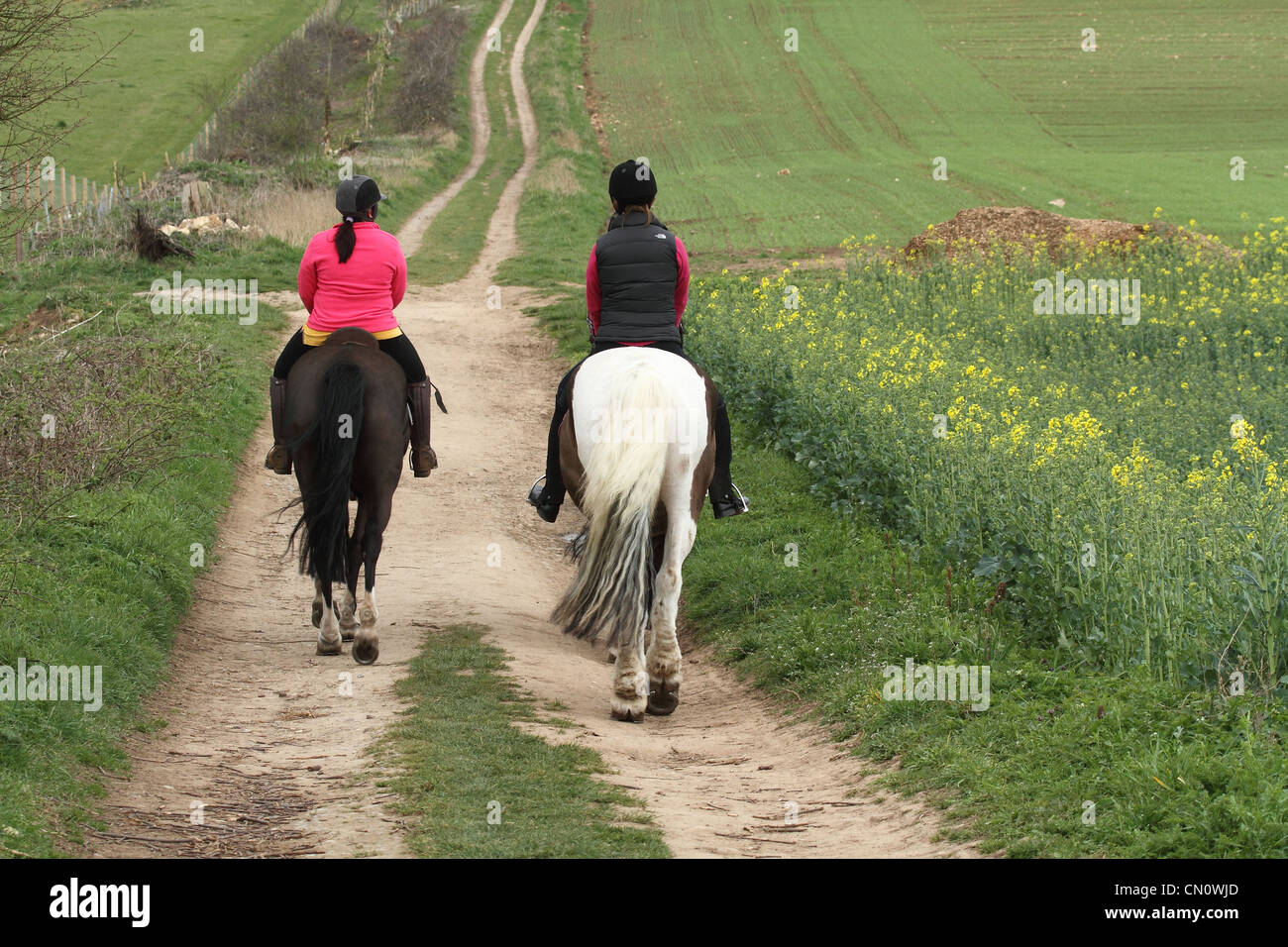 horse riding rear view of girls on horseback Stock Photo - Alamy