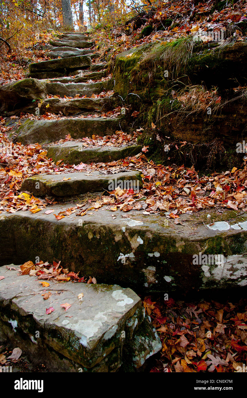 Stone Steps and Fall Leaves Stock Photo