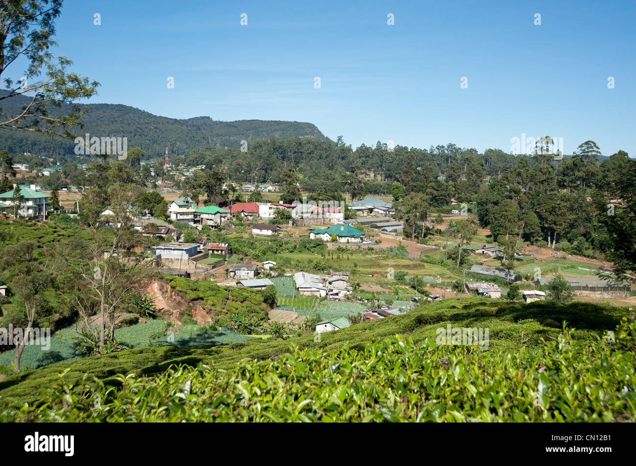 Nuwara Eliya and surrounding tea estates Sri Lanka Stock Photo