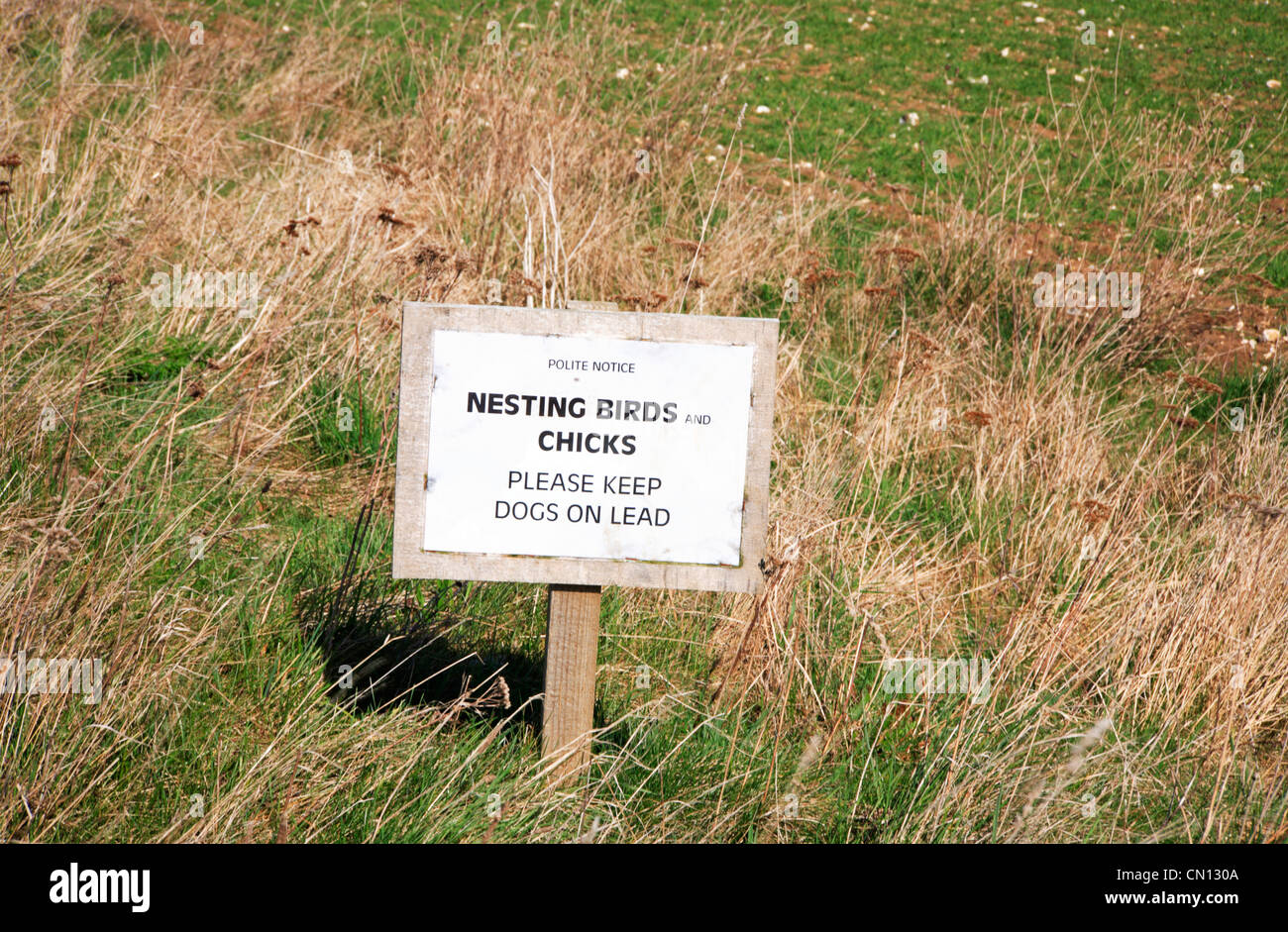 An awareness sign for nesting birds and chicks by the Peddars Way long distance path at Fring, Norfolk, England, United Kingdom. Stock Photo
