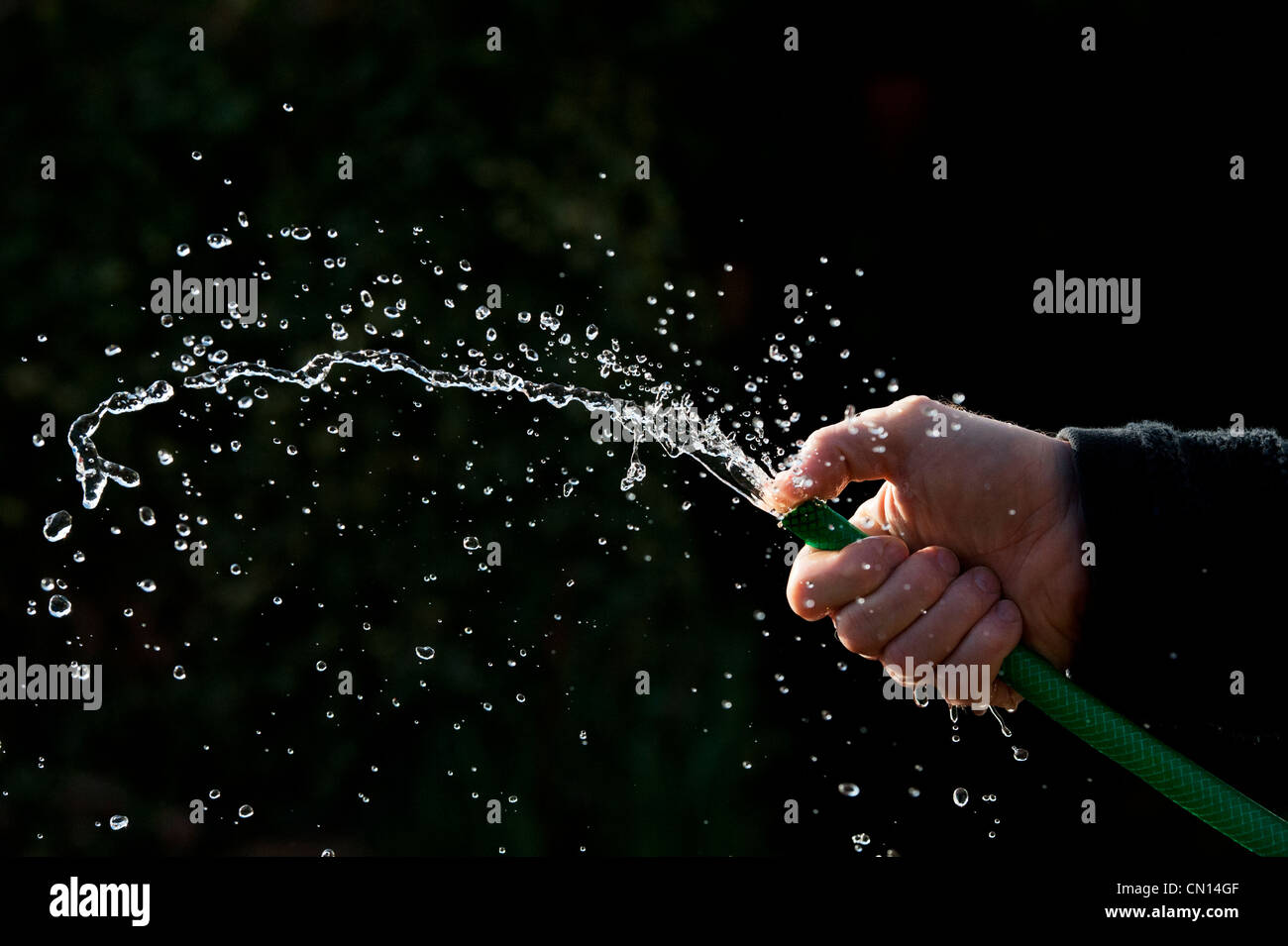 Hand spraying water with hosepipe against a dark background Stock Photo