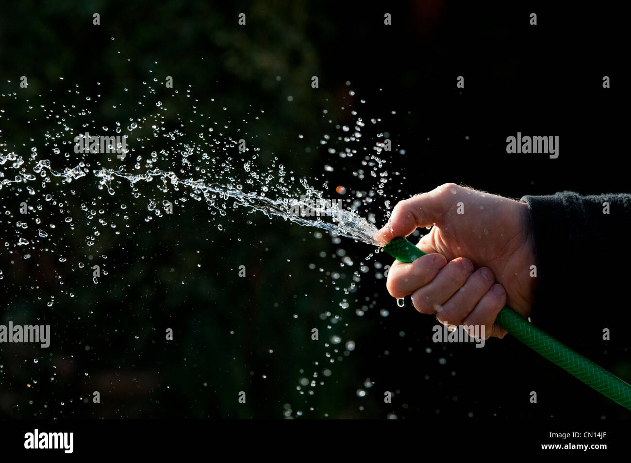 Hand spraying water with hosepipe against a dark background Stock Photo