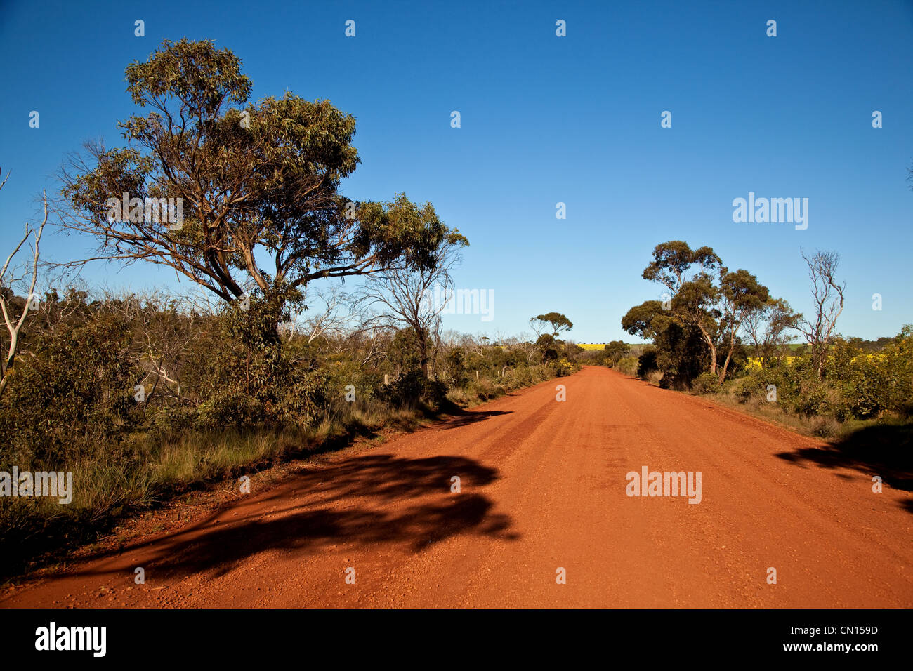 Red dusty outback road. Eyre Peninsula Stock Photo