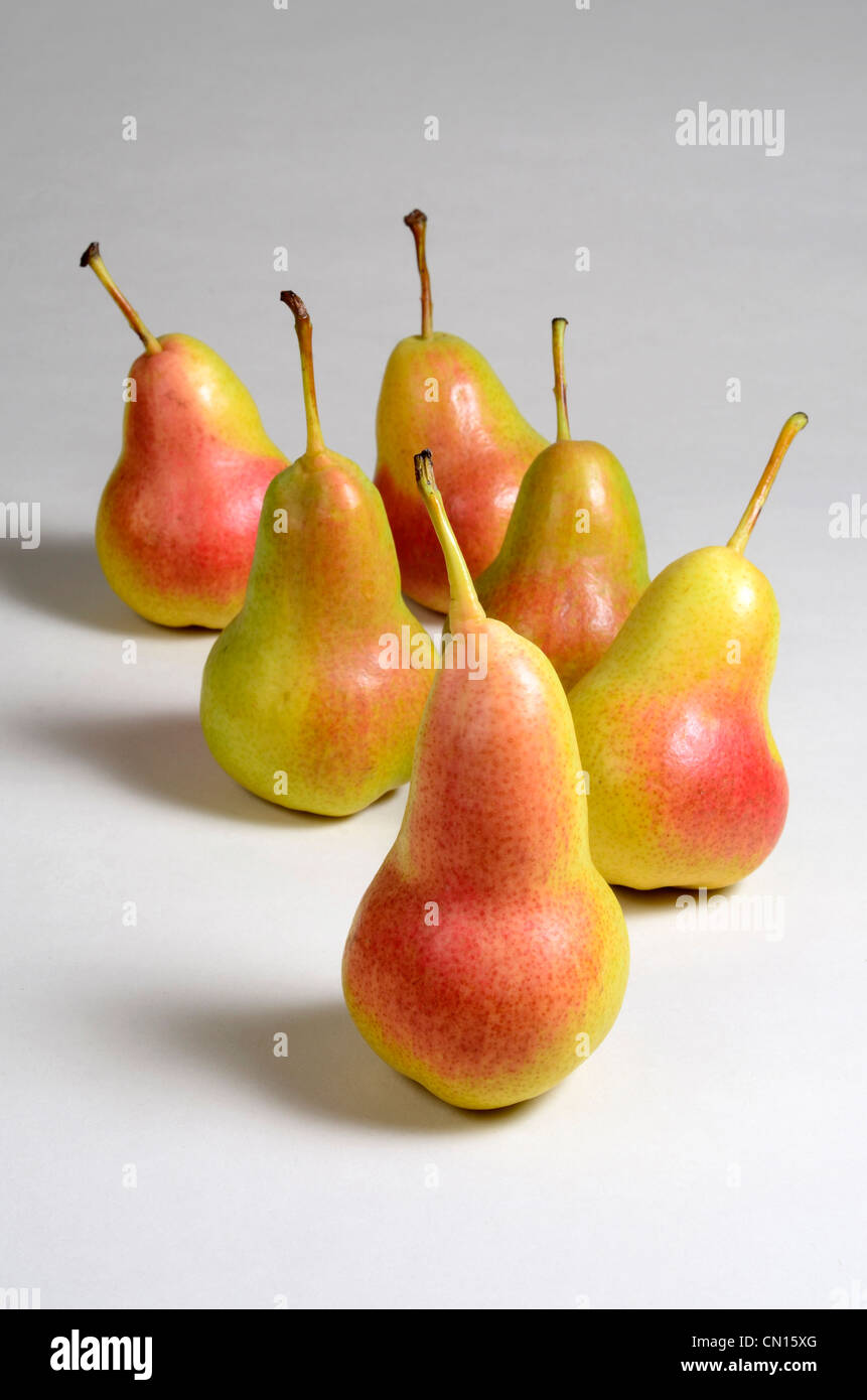Colourful ripe baby pears Stock Photo