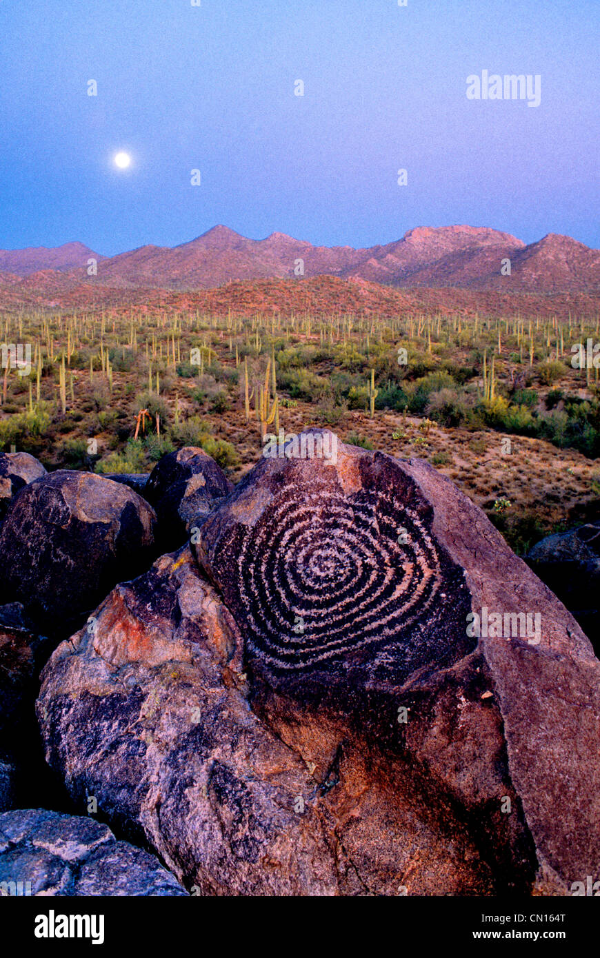 A full moon rises over a ancient spiral petroglyph found in  Saguaro National Park, in Southern Arizona Stock Photo