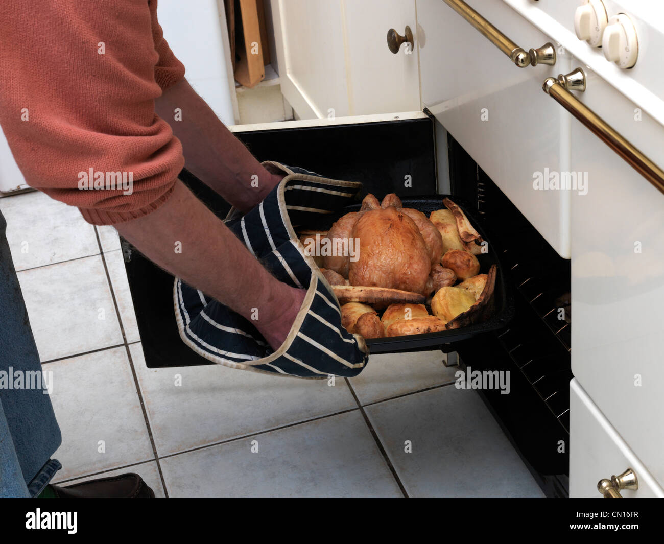 Roasted Chicken And Vegetables In A Roasting Tin Being Taken Out Of