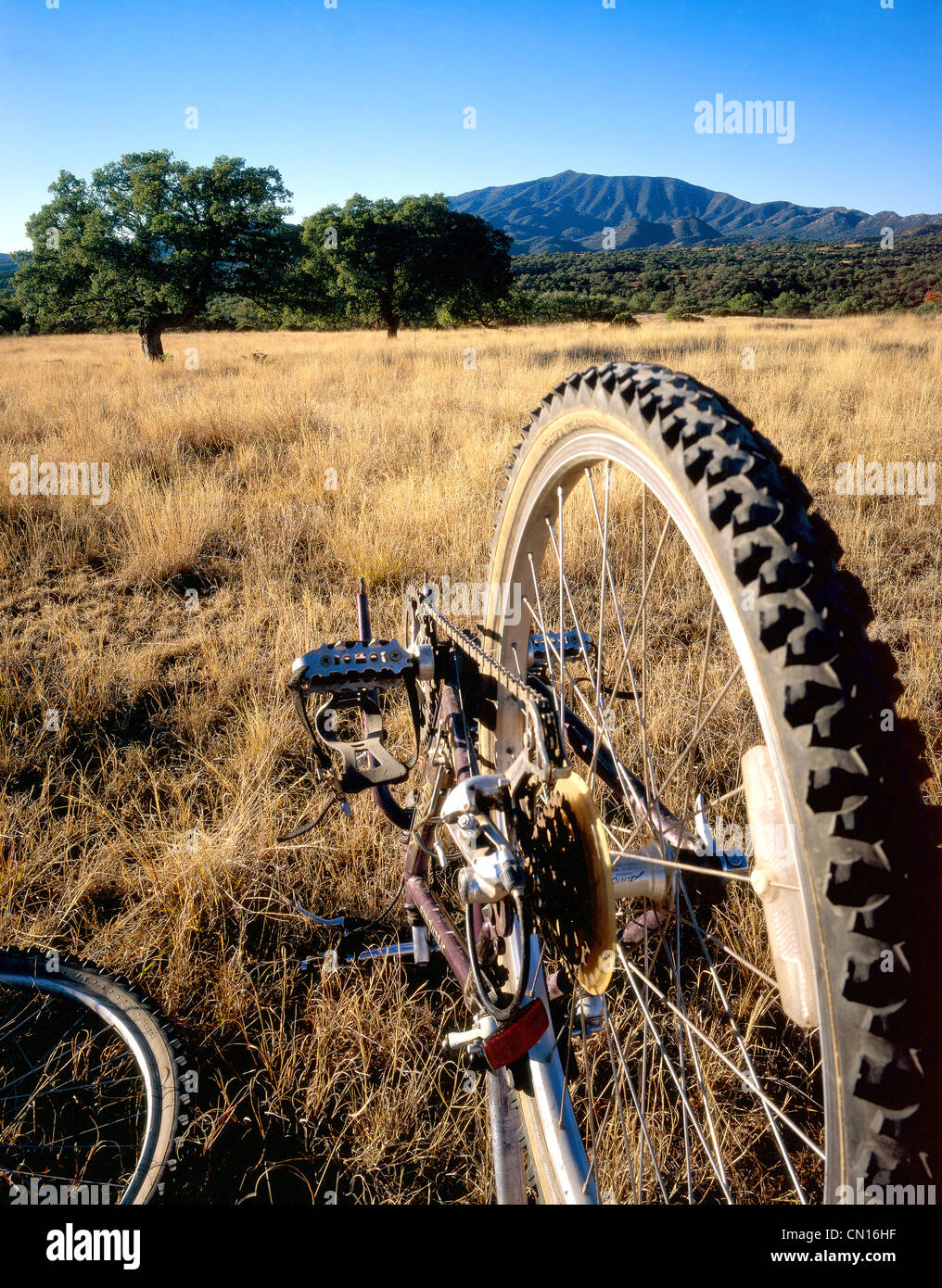 Flat lands with mountains patagonia hires stock photography and images