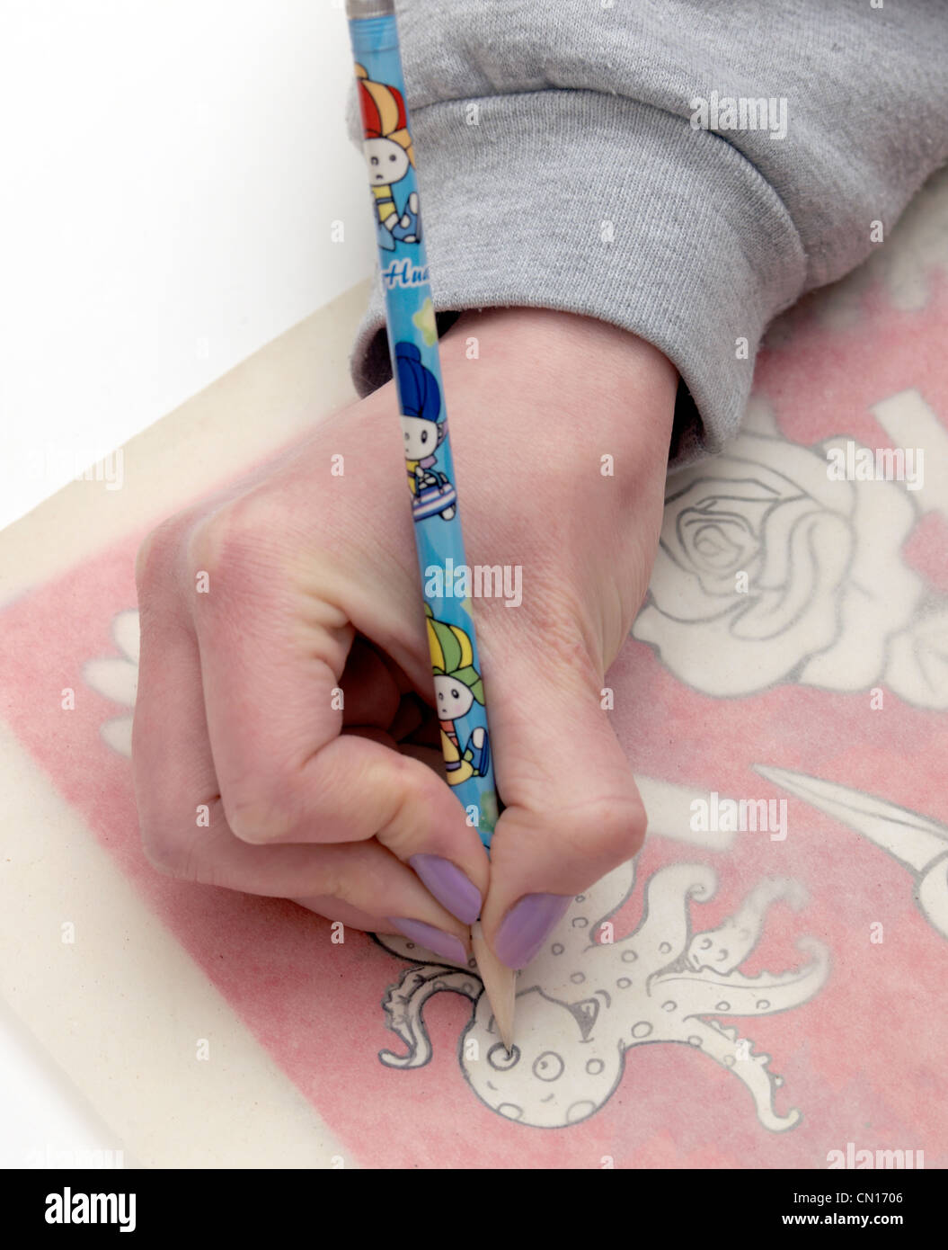 Hand Drawing Octopus On Tracing Paper Stock Photo Alamy