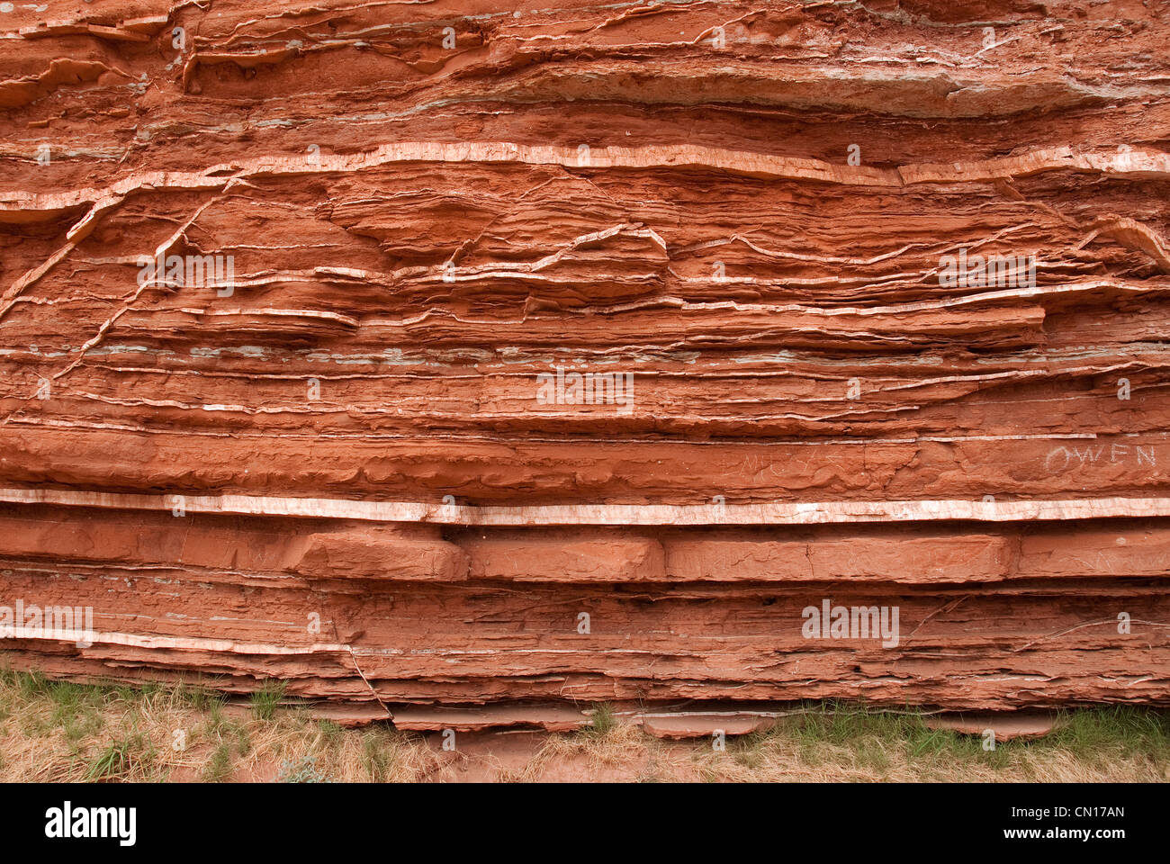 Gypsum Veins Caprock Canyons State Park Texas USA Stock Photo Alamy