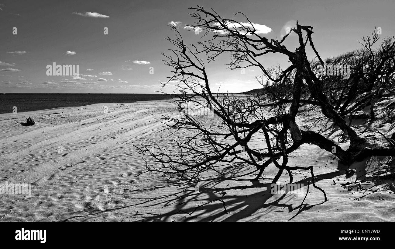 Tide times and charts for Sandy Hook, New Jersey and weather forecast ... Weather forecast for sandy hook new jersey
