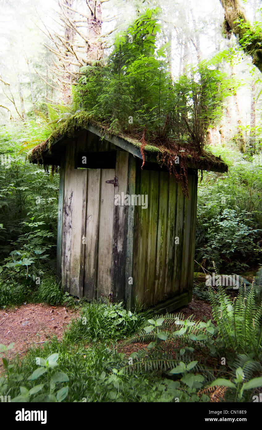 Outhouse with plants on roof, Pacific Rim National Park, Vancouver