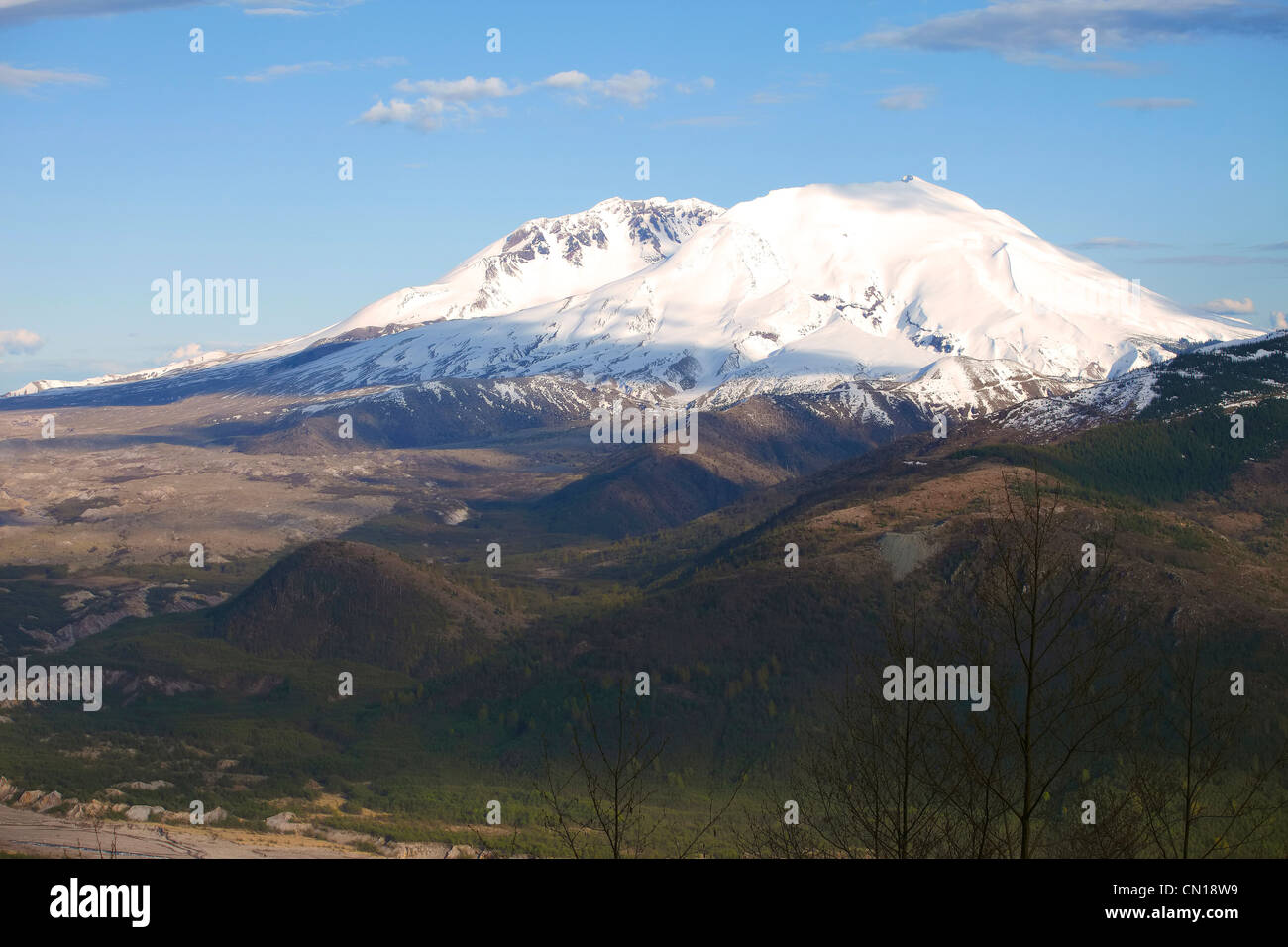 Mount st helen trees hi-res stock photography and images - Alamy