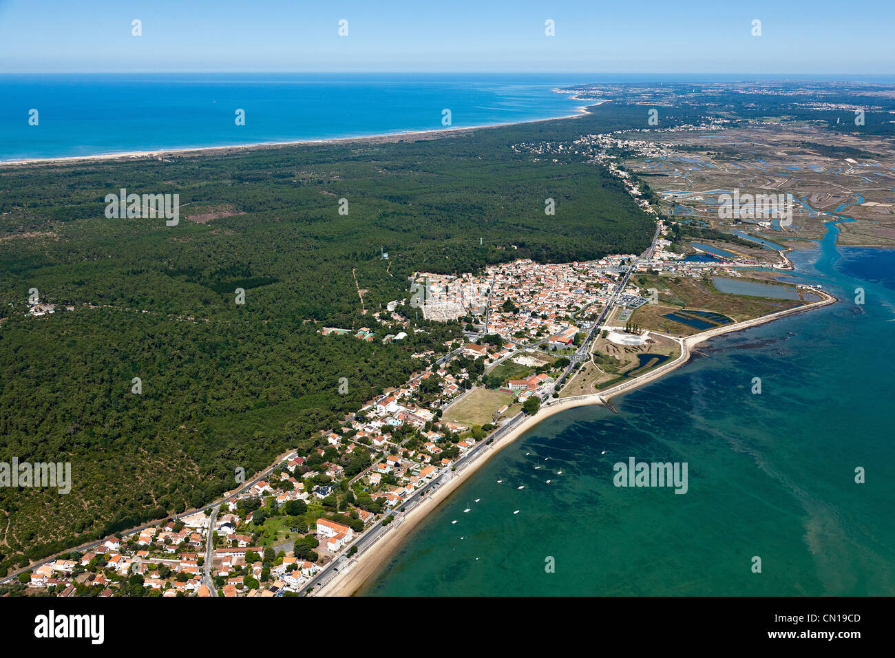 France, Charente Maritime, Saint Trojan les Bains, Ile d'Oleron (aerial