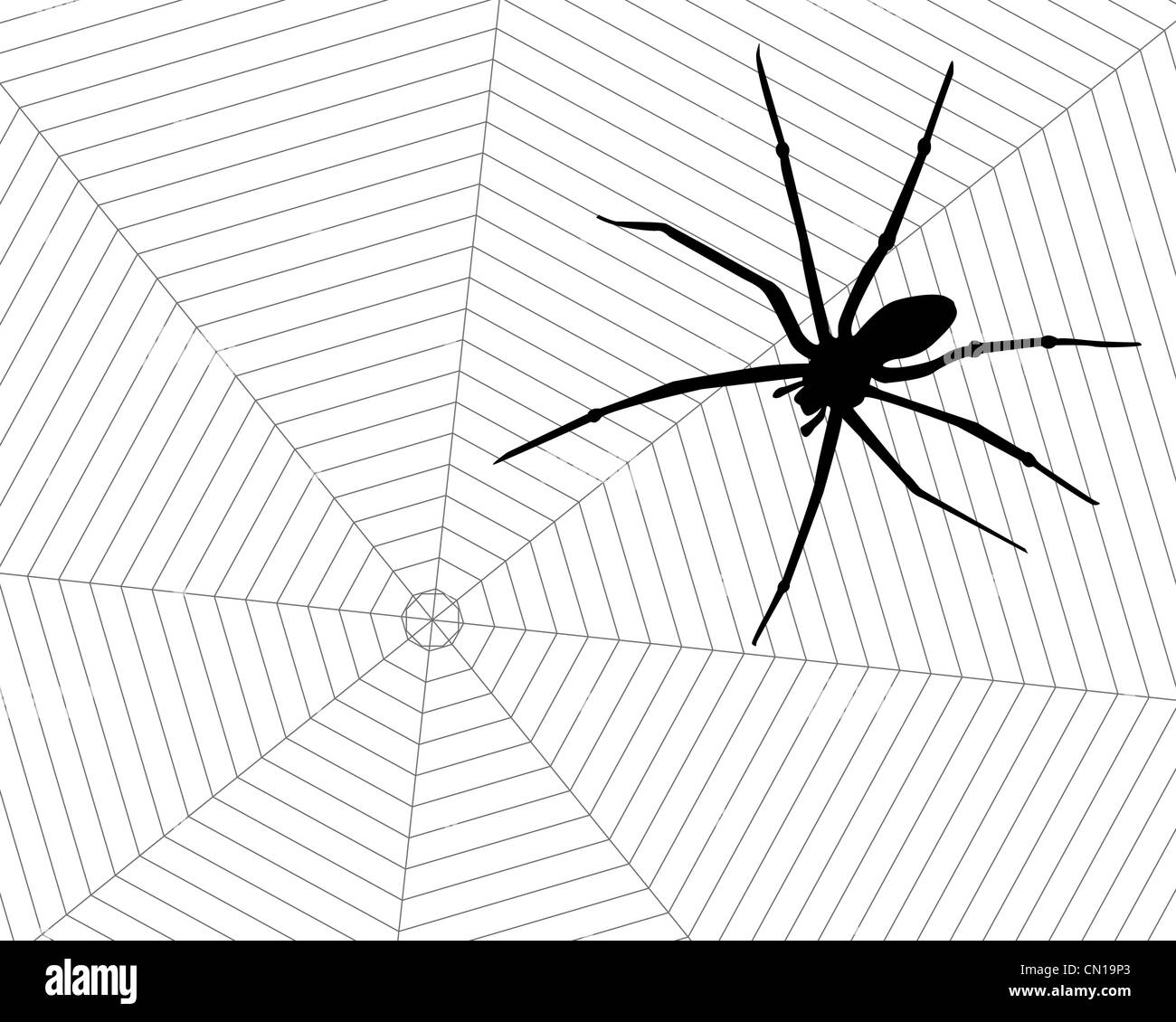 Poisonous black spider in his web. Stock Photo