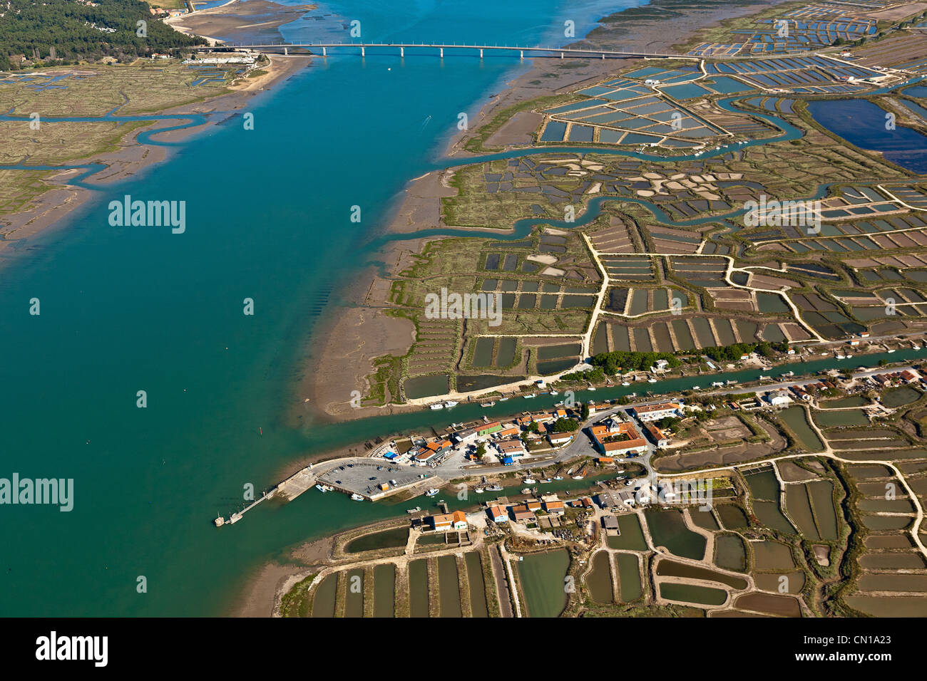 France, Charente Maritime, Marennes, la Cayenne harbour and the Seudre estuary (aerial view) Stock Photo