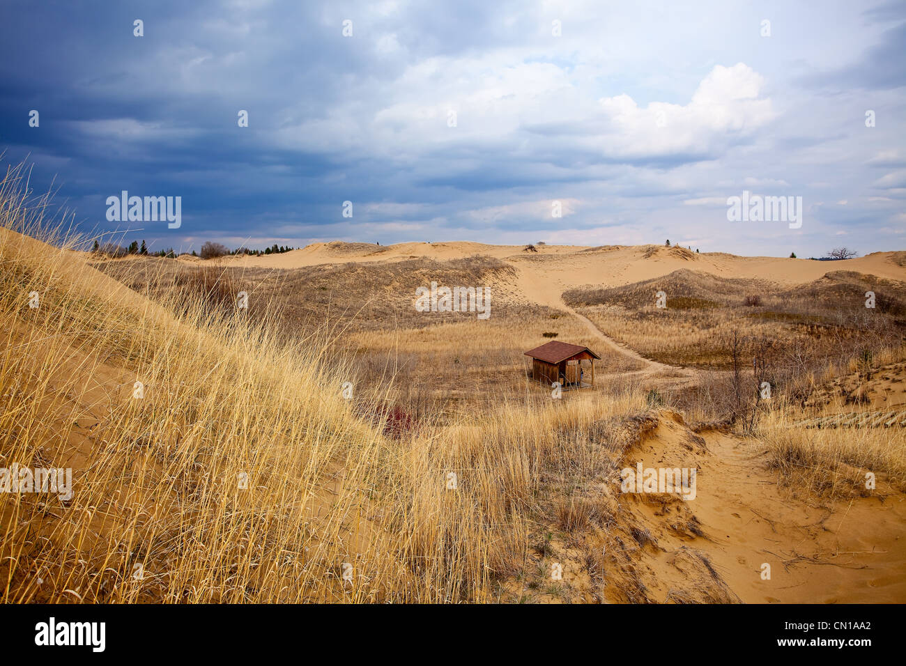 The Spirit Sands in spring, Spruce Woods Provincial Park, Manitoba Stock Photo