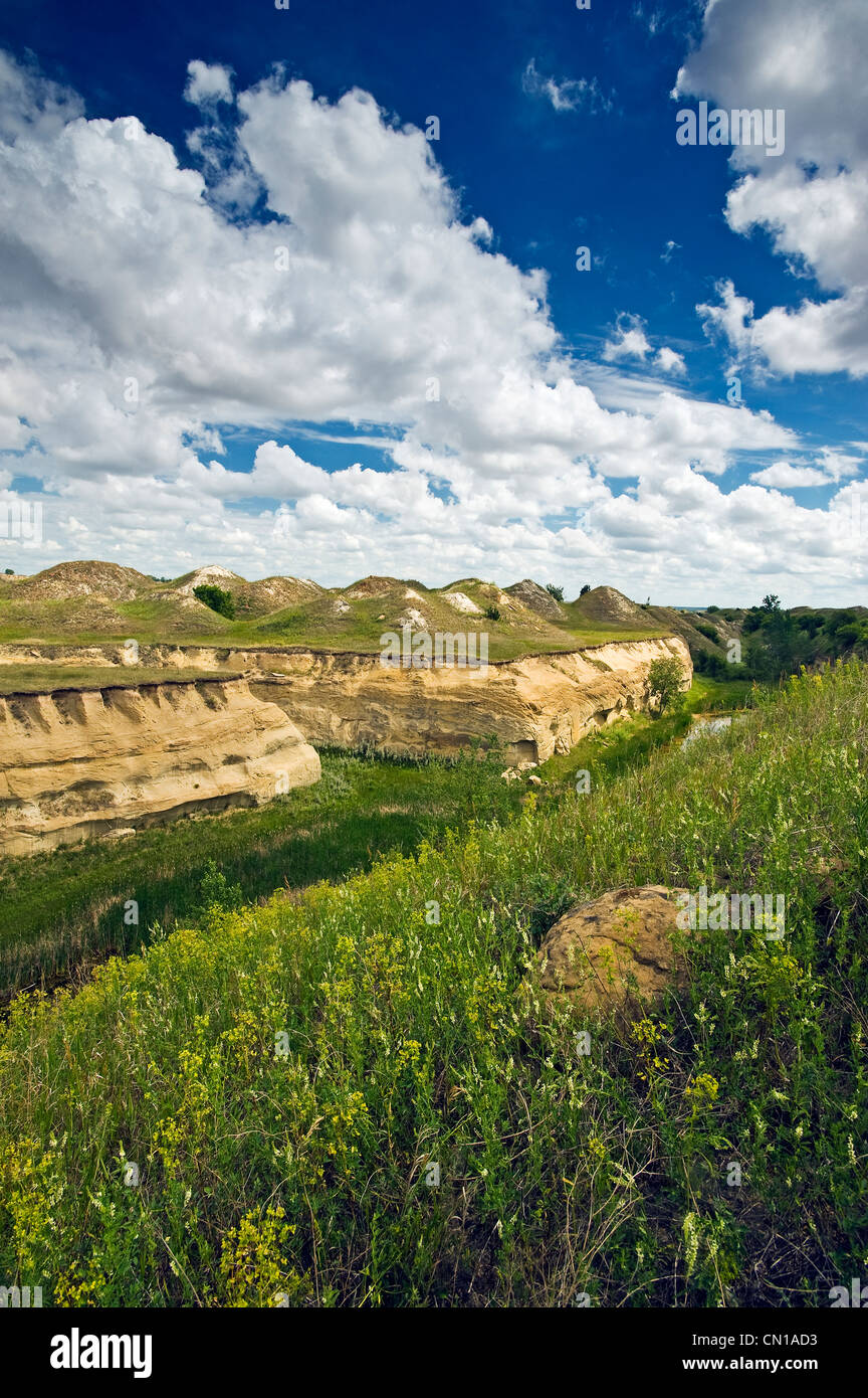Souris River Valley near Roche Percee, Saskatchewan Stock Photo