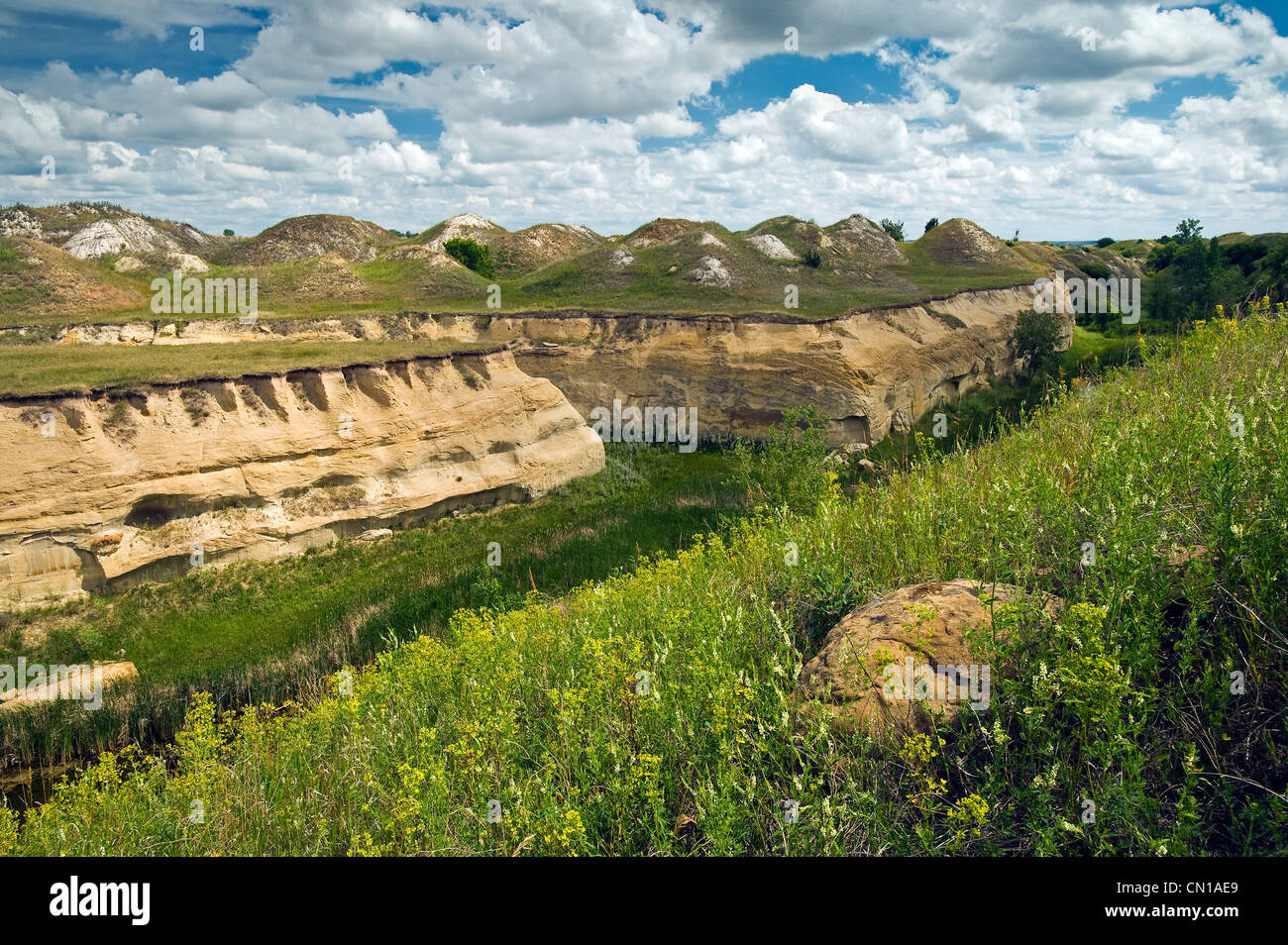 Artist's Choice: Souris River Valley near Roche Percee, Saskatchewan Stock Photo