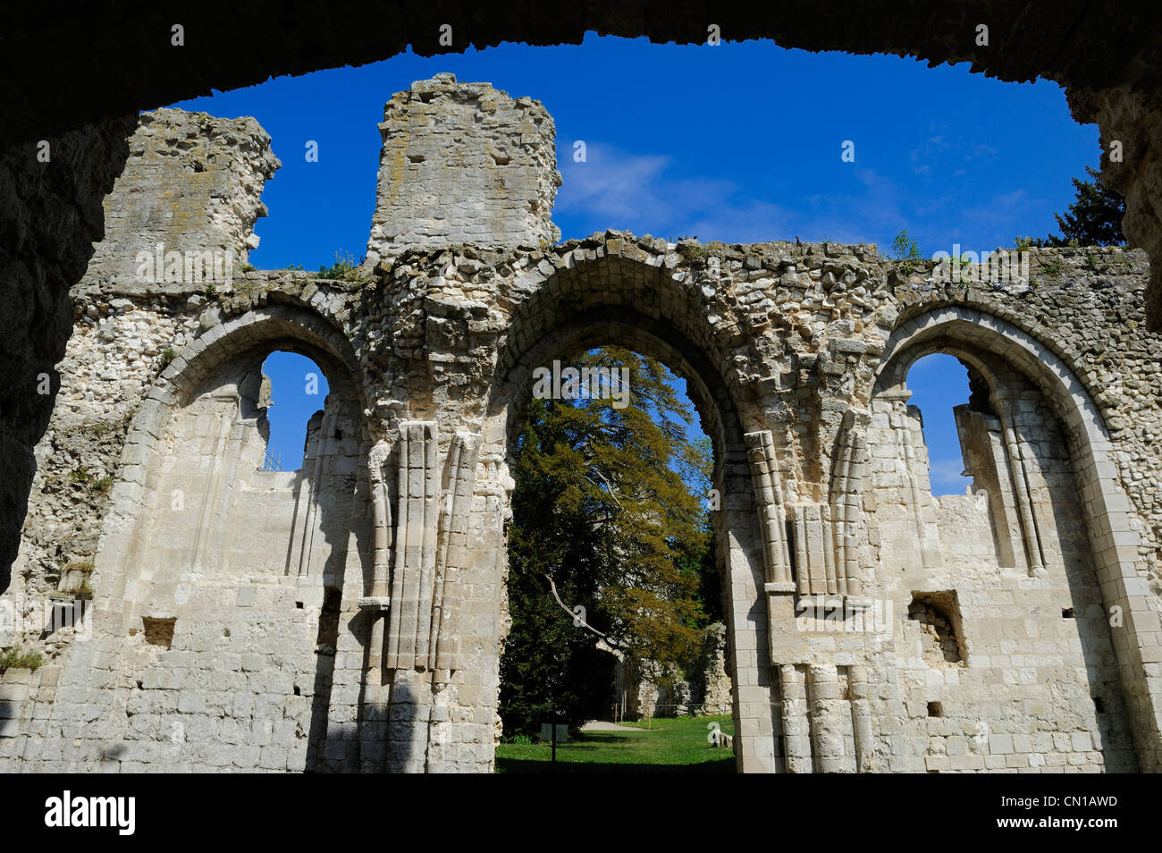 France, Seine Maritime, Pays de Caux, Jumieges, abbey of Saint Pierre de Jumieges funded dated 7th century Stock Photo
