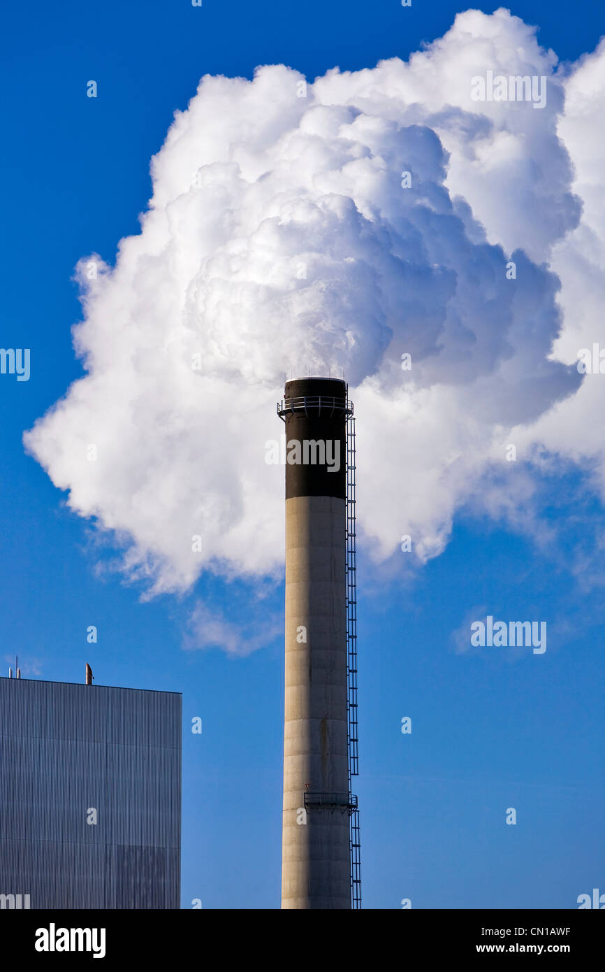 Smoke stack emissions from a natural gas thermal power station, Selkirk