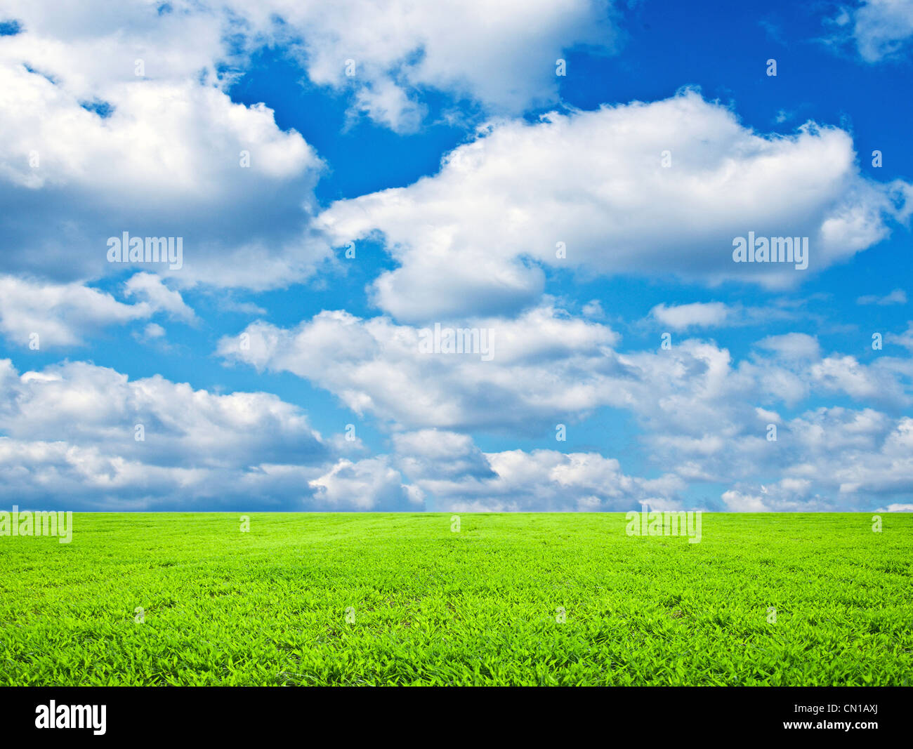 Beautiful green field and blue sky Stock Photo - Alamy