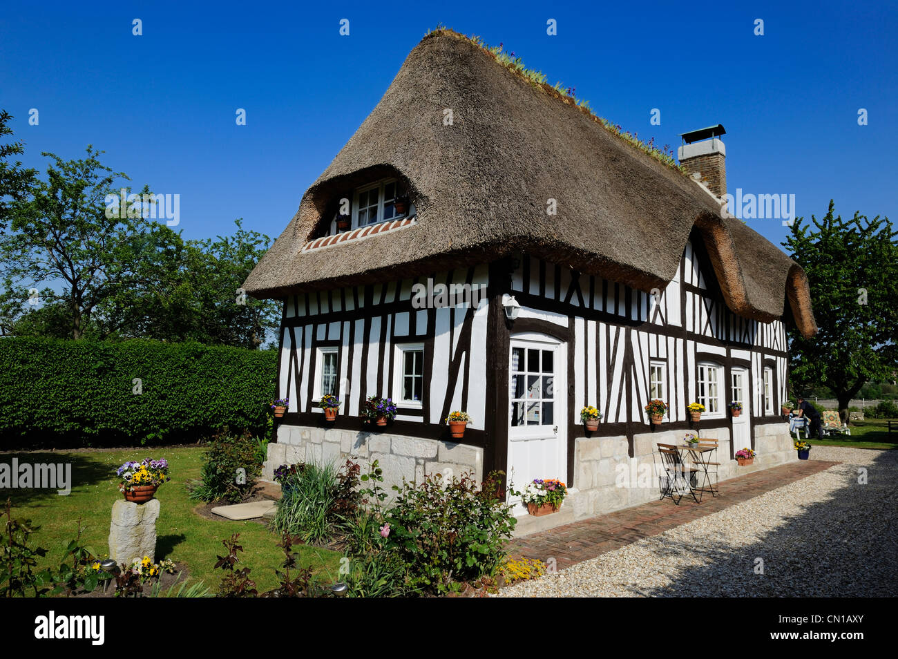 France, Seine Maritime, Port Jumieges, Norman half timbered house Stock Photo
