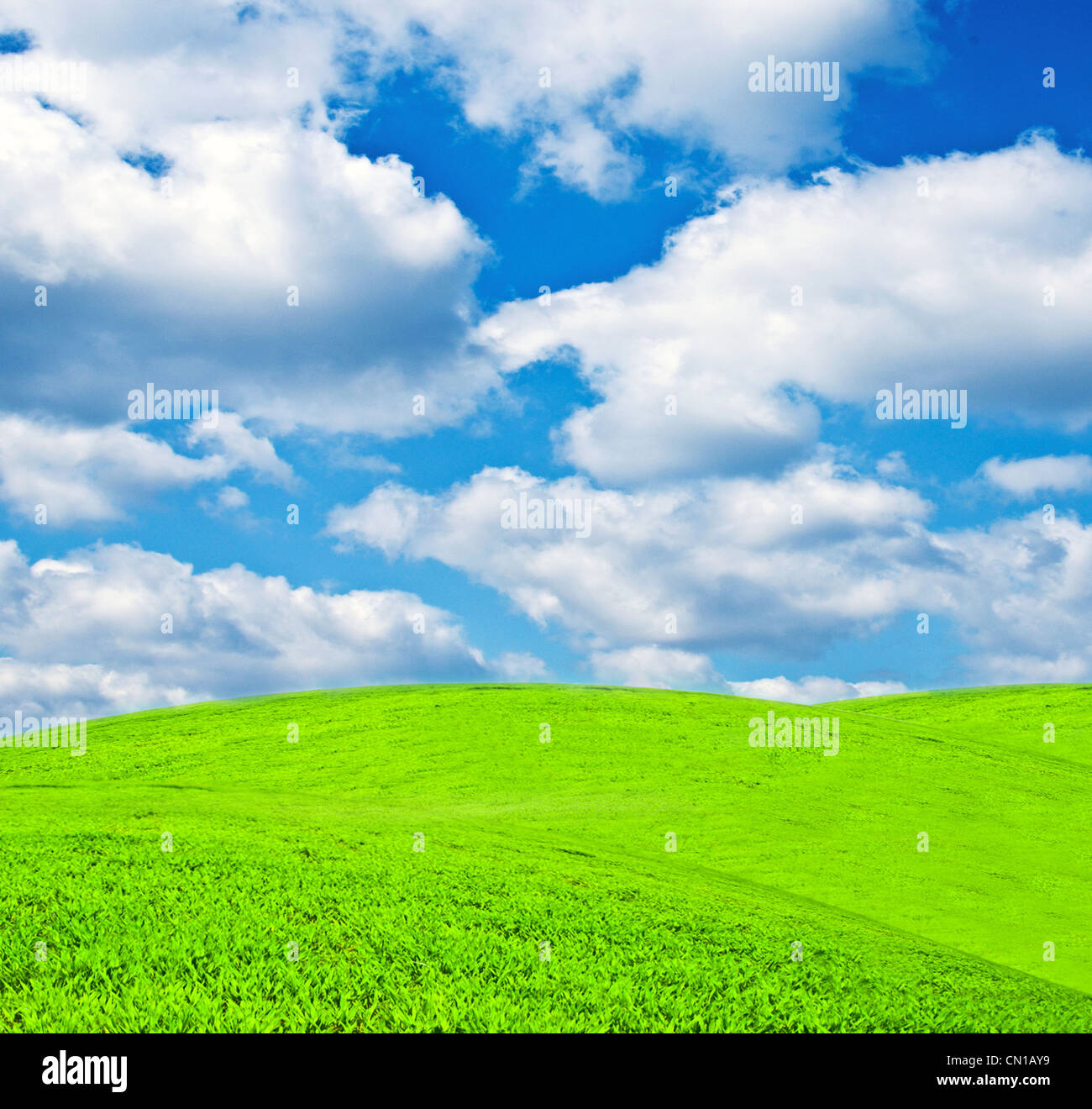 Green field and blue sky Stock Photo - Alamy