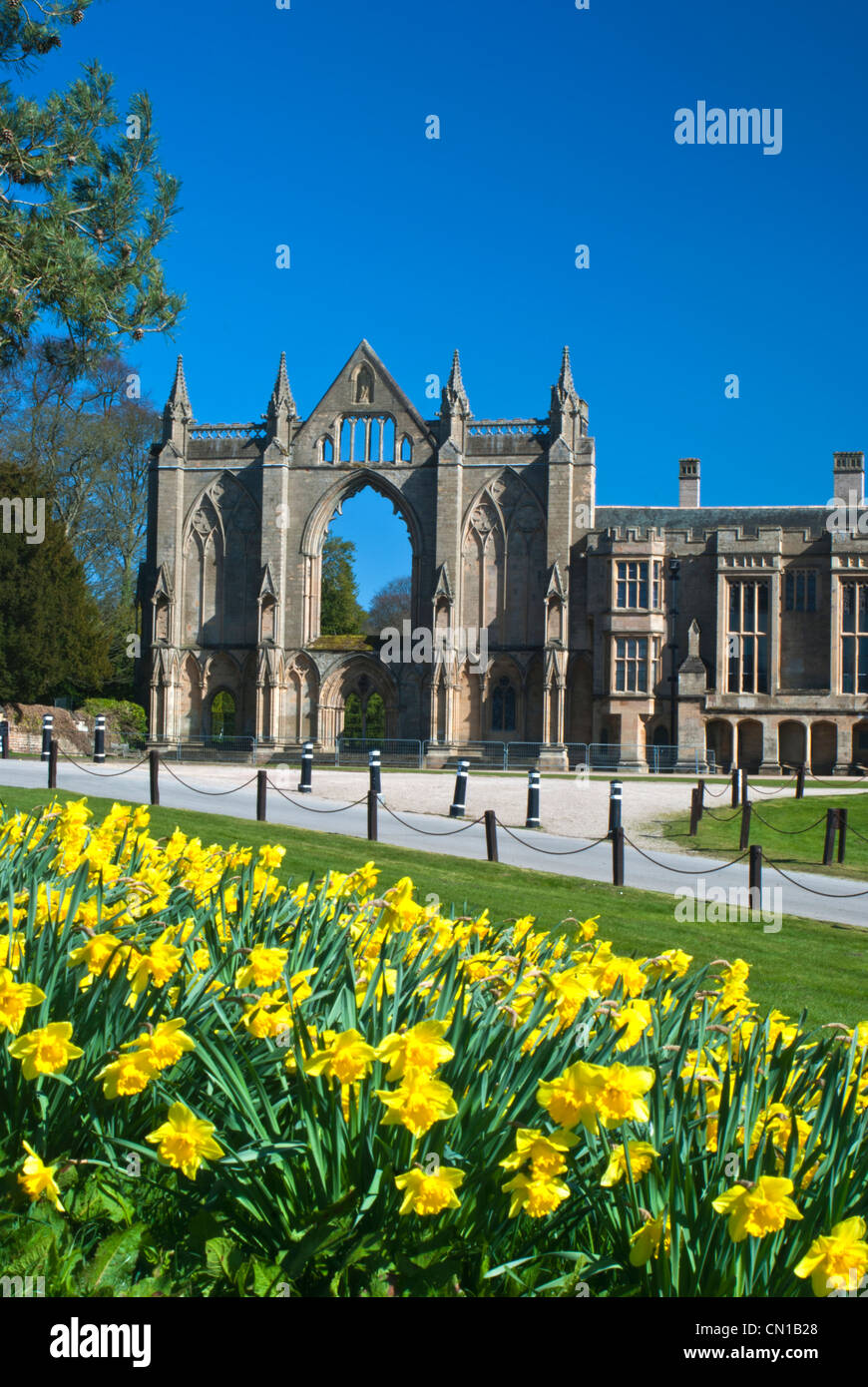 Newstead Abbey, Nottinghamshire, England, UK Stock Photo Alamy