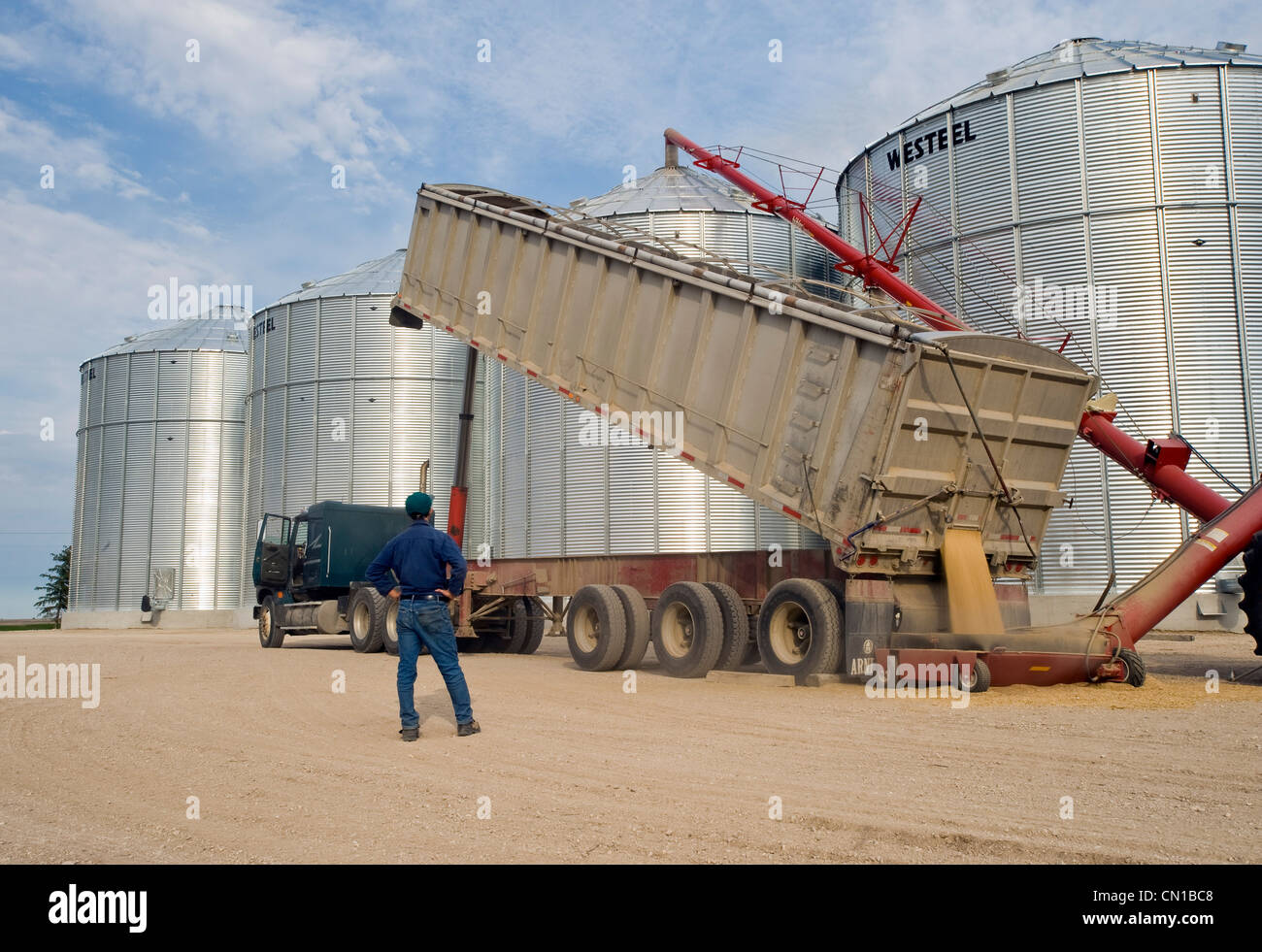 Man looks on as oats are augered into a grain storage bin, near Lorette, Manitoba Stock Photo
