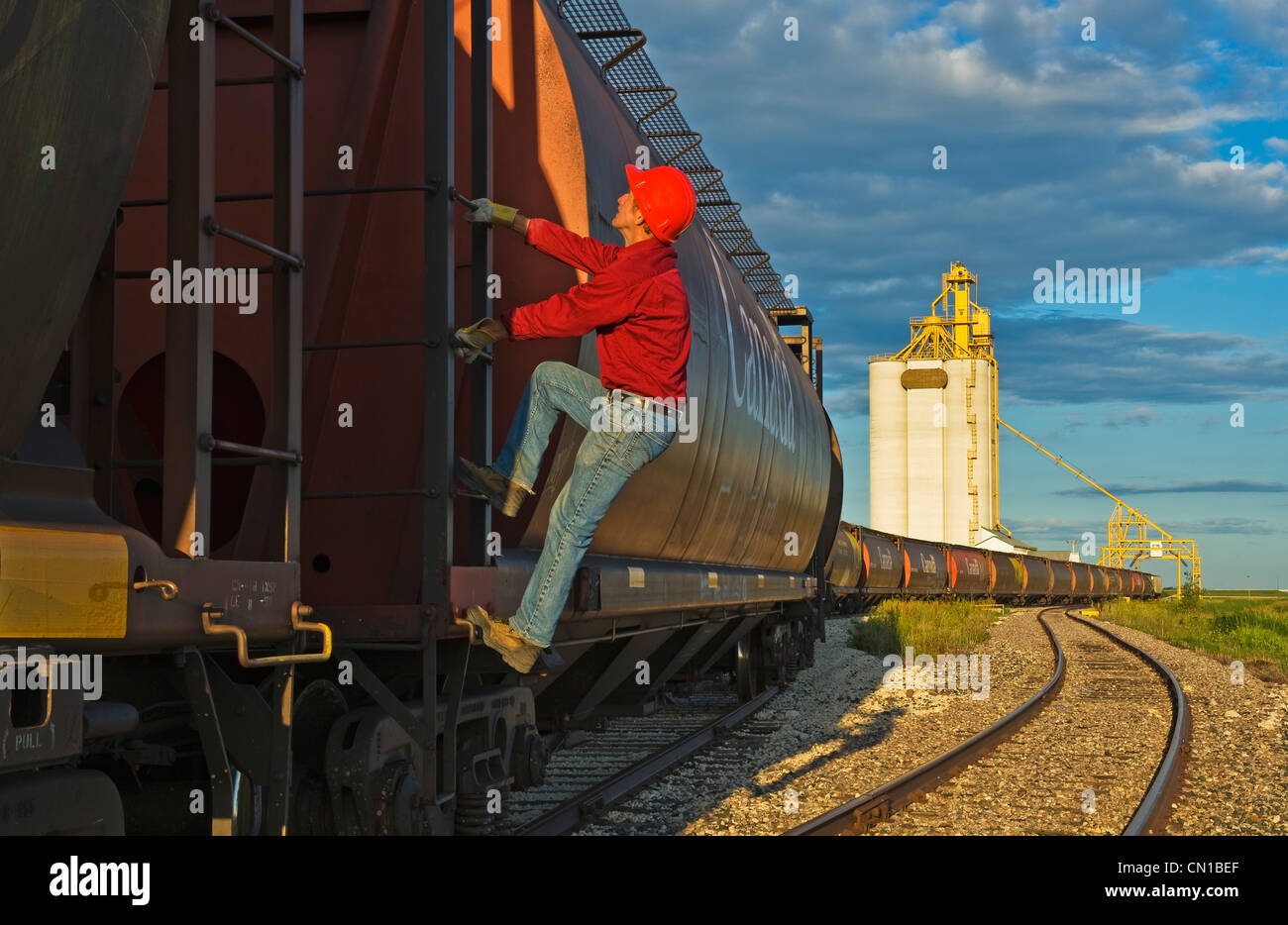 Worker climbs a grain rail hopper car at an inland grain terminal, Manitoba Stock Photo