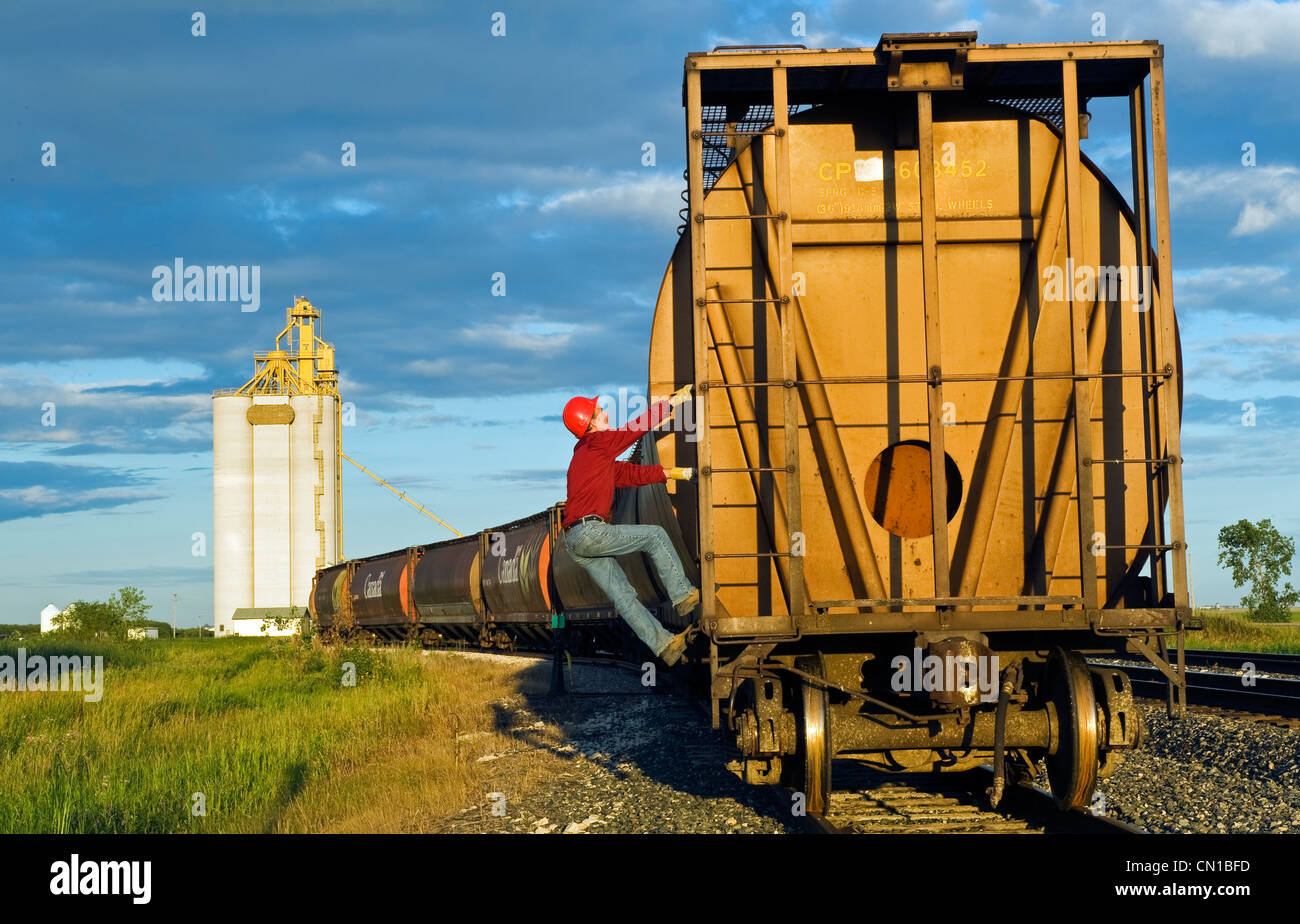 Worker climbs a grain rail hopper car at an inland grain terminal, Manitoba Stock Photo