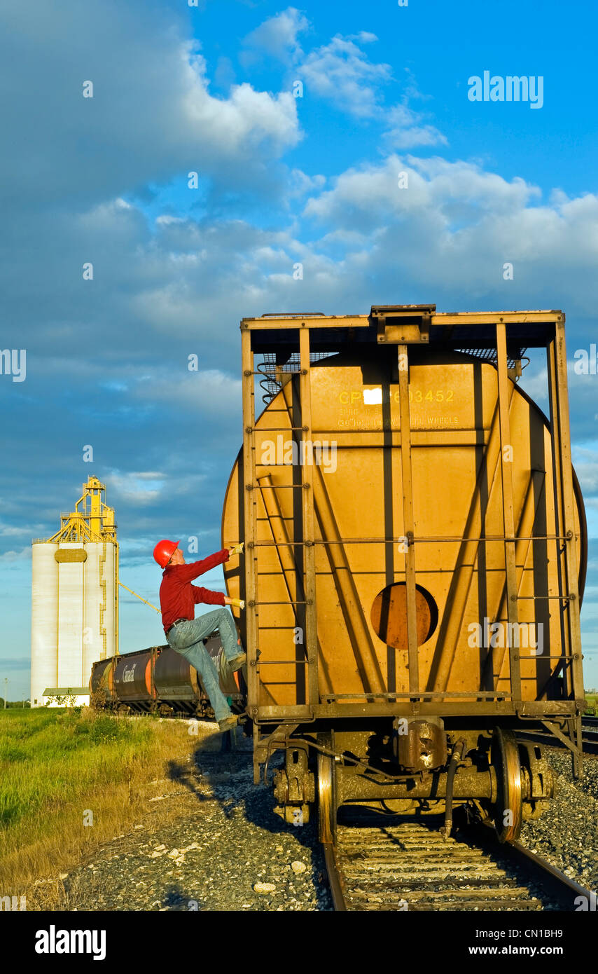 Artist's Choice: Worker climbs a grain rail hopper car at an inland grain terminal, Manitoba Stock Photo